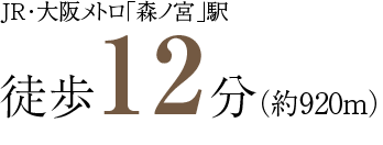 JR・大阪メトロ「森ノ宮」駅徒歩12分（約920m）